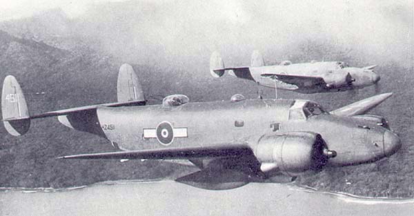 nz4511.jpg