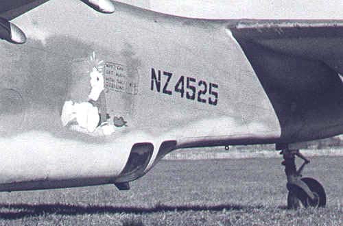 nz4525c.jpg